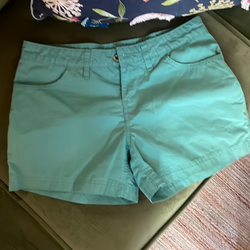 Patagonia Shorts Sz. 4 Teal Color